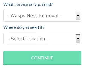 UK Wasp Nest Removal Services (044)
