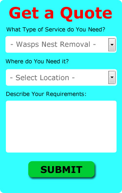 Free UK Wasps Nest Removal Quotes